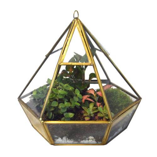 Terrarium recycled metal & glass diamond shape 21cm ht, plants not included