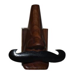 Spectacle stand holder moustache with pencil box Sheesham wood 7 x 15 x 11cm