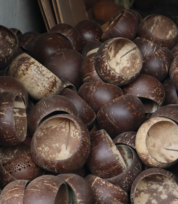 Coconut, Bali