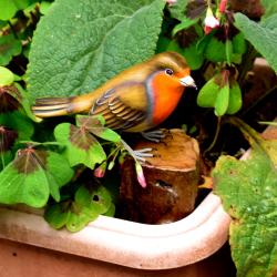 Robin on tree trunk, hand carved wooden indoor/garden ornament 12cm