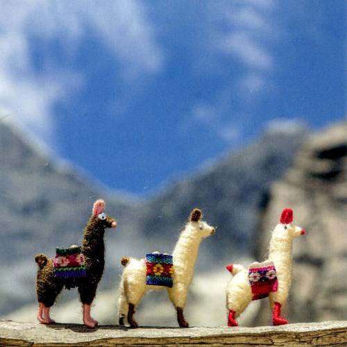 Greetings card, let's go
