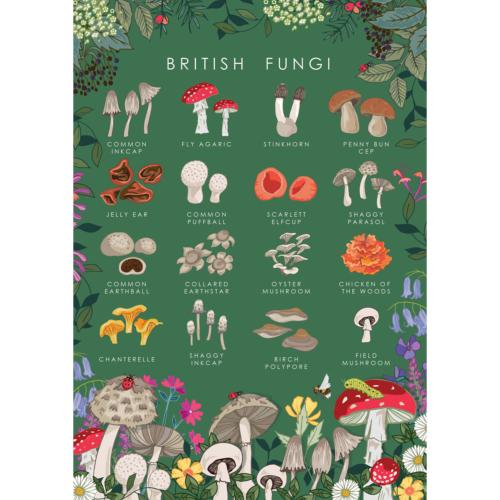 Greetings card "British fungi" 12x17cm