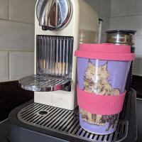 Reusable Tea/Coffee Travel Cup/Mug Eco Biodegradable Rice Husk Cats Feline Fun