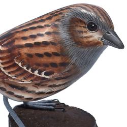 Hedge sparrow on tree trunk, hand carved and painted 8 x 13 x 14cm