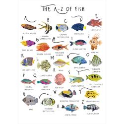 Greetings card "A-Z of Fish" 12x17cm
