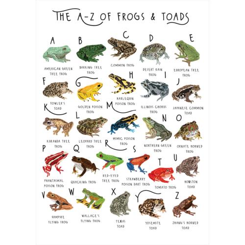 Greetings card "A-Z of Frogs & Toads" 12x17cm