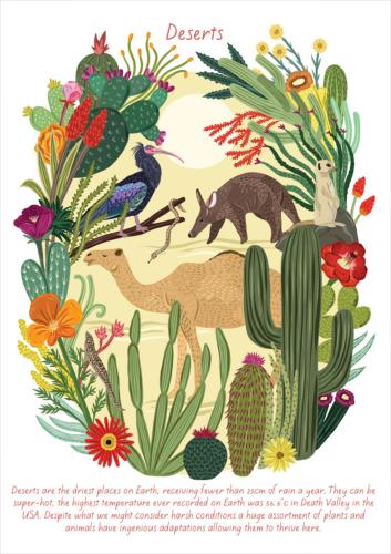 Greetings card "Deserts" 12x17cm