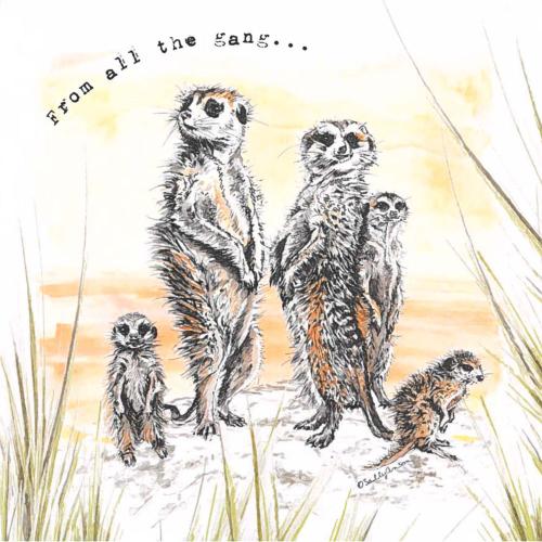 Greetings card, From all the gang, meerkats