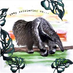 Greetings card, giant anteater