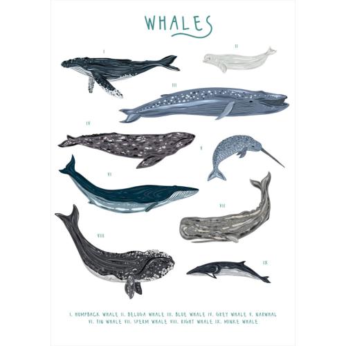 Greetings card "Whales" 12x17cm