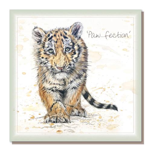 Greetings card, "Paw-fection", new tiger cub