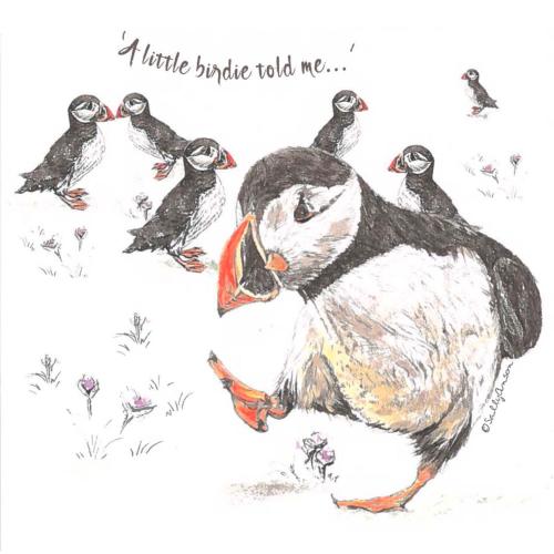 Greetings card, A little birdie told me..., puffins