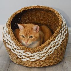 Cat basket, hogla seagrass