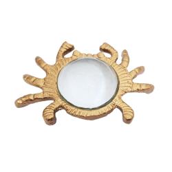 Magnifying Glass Crab