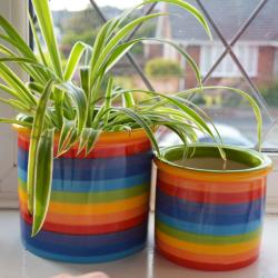 Rainbow ceramic planter, 11cm x 10cm ht