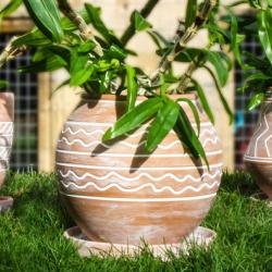 Terracotta plant pot with saucer, wave pattern