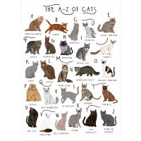 Greetings card "A-Z of cats" 12x17cm