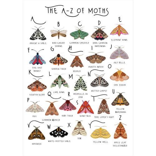 Greetings card "A-Z of Moths" 12x17cm
