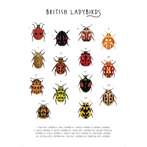 Greetings card "British Ladybirds" 12x17cm