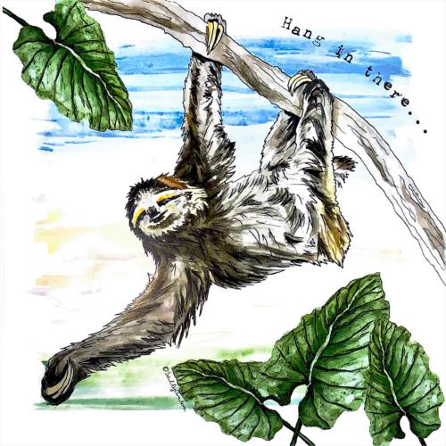Greetings card, pygmy three-toed sloth