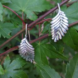 Ear climbers, leaves