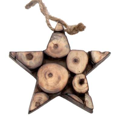 Hanging star, decorative wood twig slices