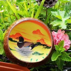 Coconut bowl, painted mallard