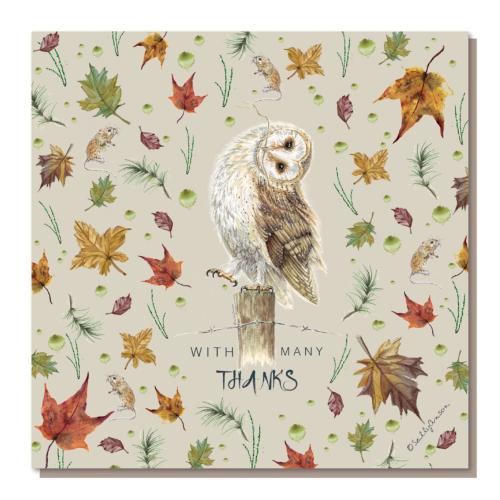 Greetings card, With many thanks, owl