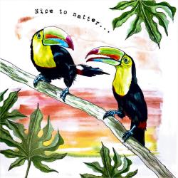 Greetings card, keel billed toucan