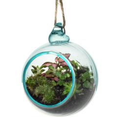 Terrarium recycled glass jute rope to hang 12cm diameter, plants not included