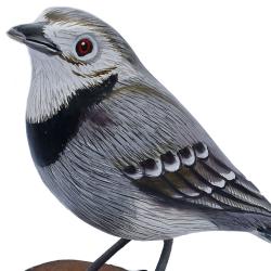 Pied wagtail on tree trunk, hand carved and painted 9.5 x 14 x 20cm