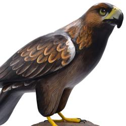 Golden eagle on tree trunk, hand carved and painted 14 x 22 x 30cm