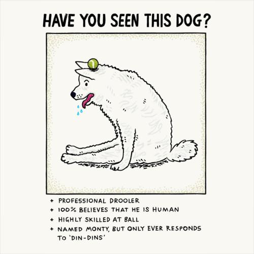 Greetings card "Have You Seen This Dog" 16x16cm