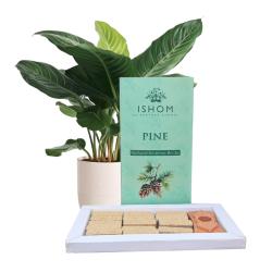 ISHOM Pine Natural Incense Bricks