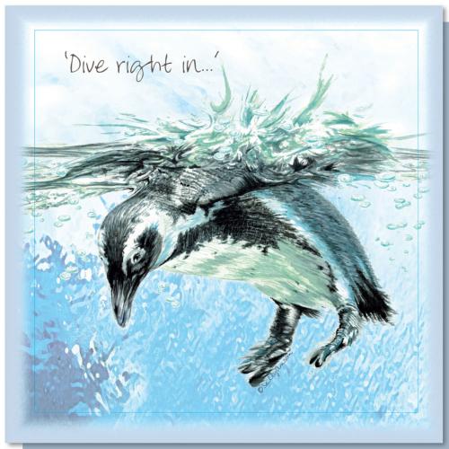 Greetings card, dive right in