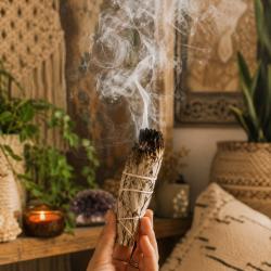 Purification White Sage Smudge Stick 10cm
