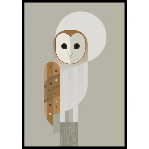Greetings card "Barn Owl" 12x17cm