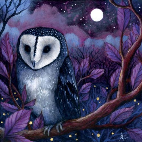 Greetings card "Midnight Owl" 16x16cm