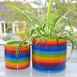Rainbow ceramic planter, 15cm x 14cm ht