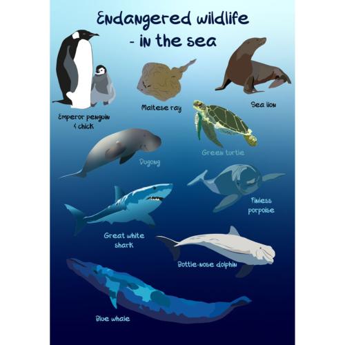 Greetings card Endangered Wildlife Sea 12x17cm