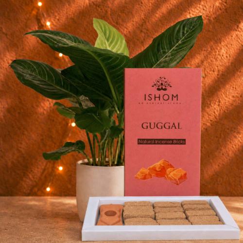 ISHOM Guggal Natural Incense Bricks