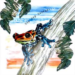 Greetings card, poison dart frog