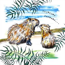 Greetings card, capybara (giant guinea pig)