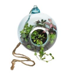 Terrarium recycled glass jute rope to hang 15cm diameter, plants not included