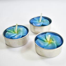 Scented t-lights x10 blue frangipani, 21 x 9cm 