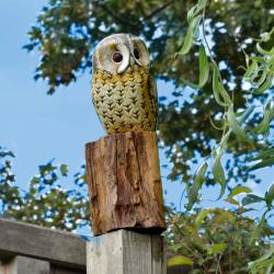 Tawny owl on tree trunk, hand carved wooden indoor/garden ornament 19cm