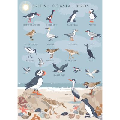 Greetings card "British coastal birds" 12x17cm