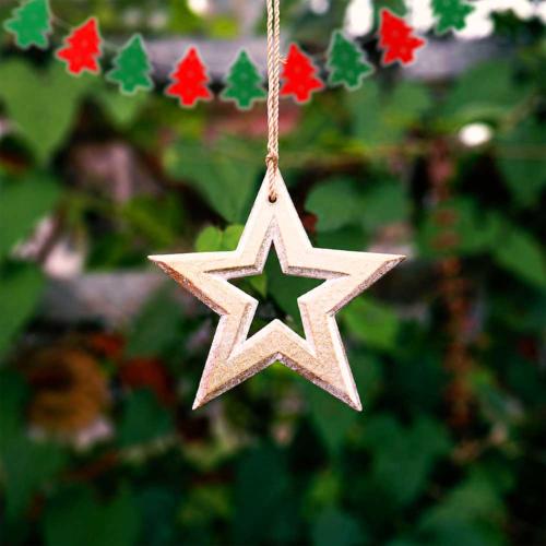 Christmas Hangings - Wood, Plant, Paper