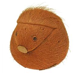 Coconut planter hedgehog