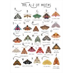 Greetings card "A-Z of Moths" 12x17cm